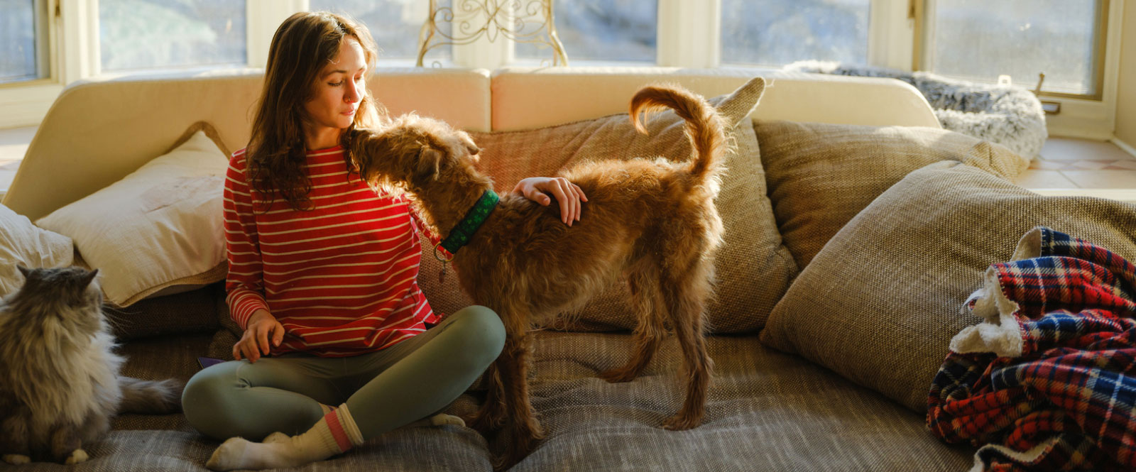 A woman sitting on a couch with a dog and cat at her side